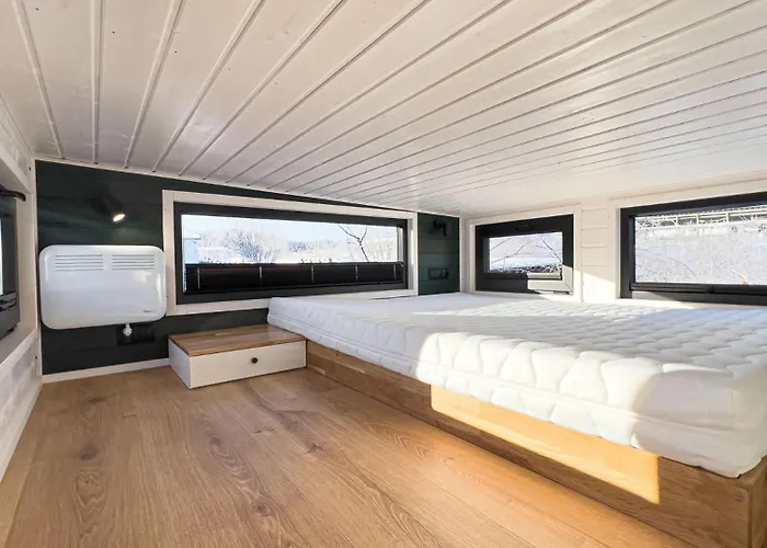 Tinyworld שקאודיטז